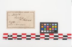 Etiketten zu Bronzehohlblecharmring (NHMW-PRAE-024058)